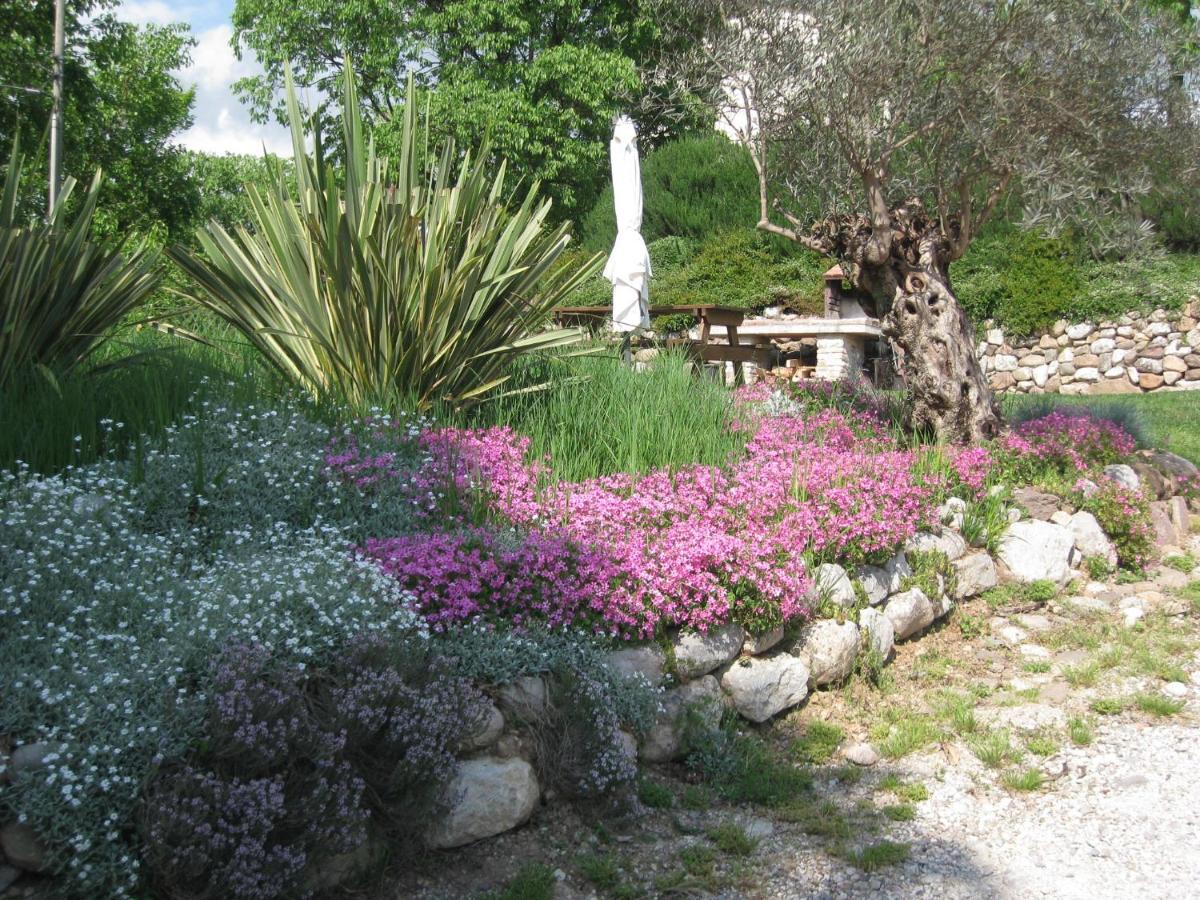 Agriturismo Campagnoletto Villa Cavriana Exterior photo